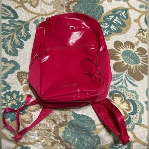 Calpak Terra Laptop Backpack in Dragonfruit